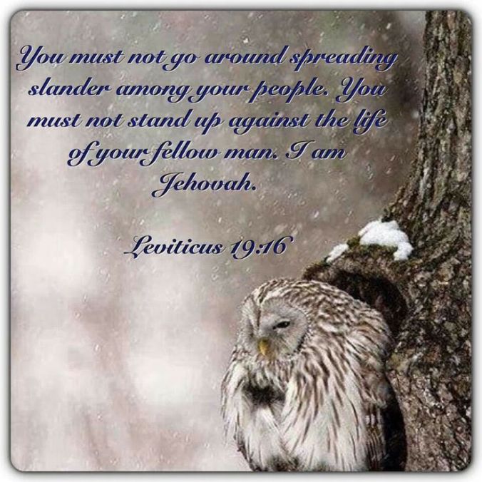 Photo Credit: Vicky Pratt